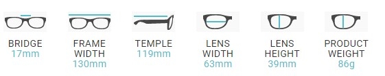 Wiley X Gravity Radiation Glasses